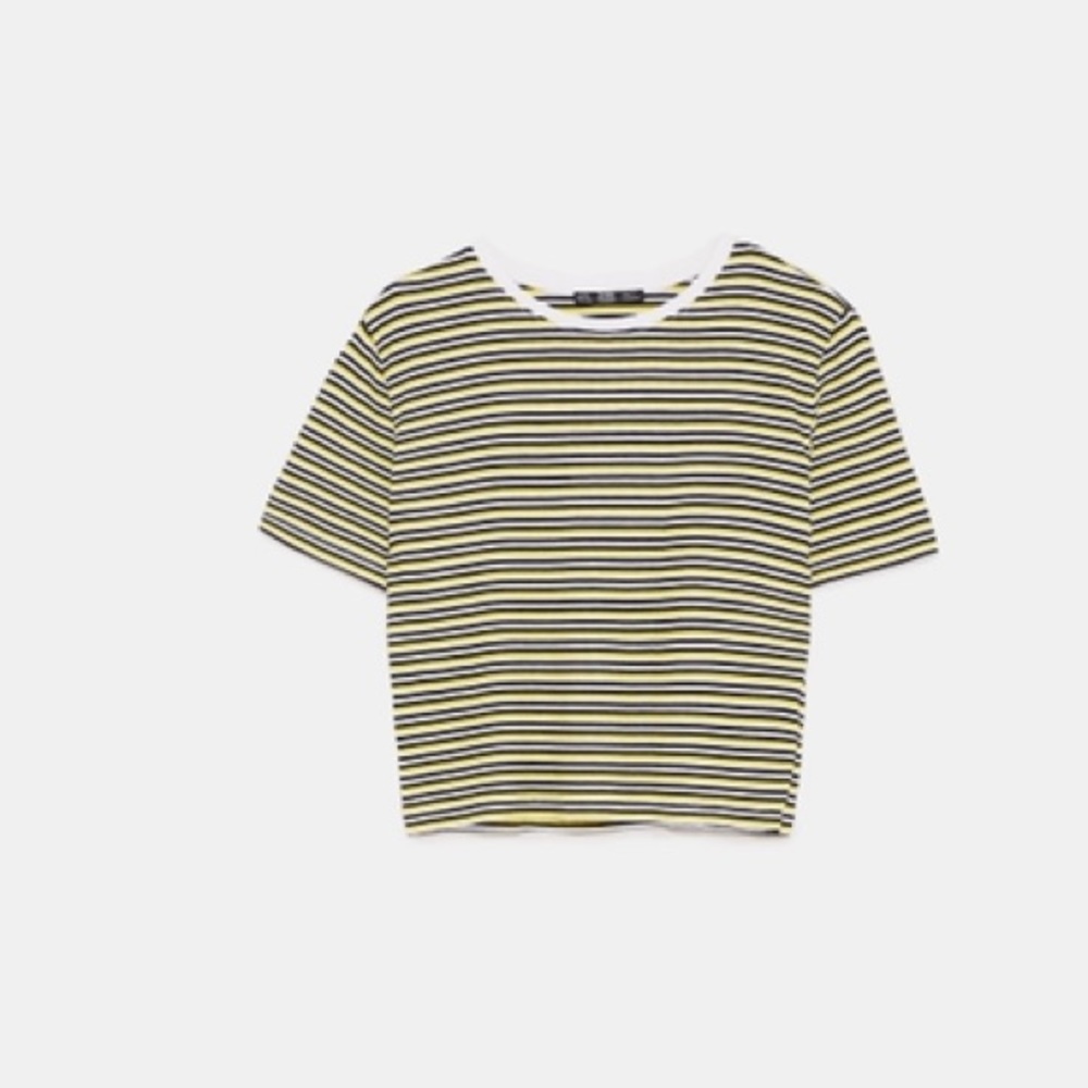 Ribbed Crop T-Shirt